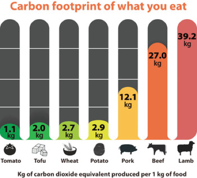 Carbon footprint of what you eat – kg CO2-Äquivalent pro kg Lebensmittel